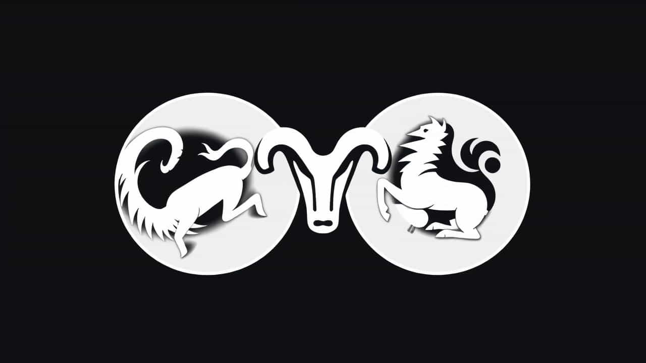 North Node Conjunct Sun Synastry