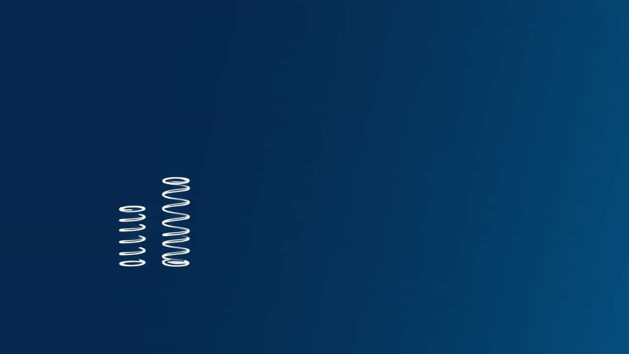 Ovate Wire Valve Springs