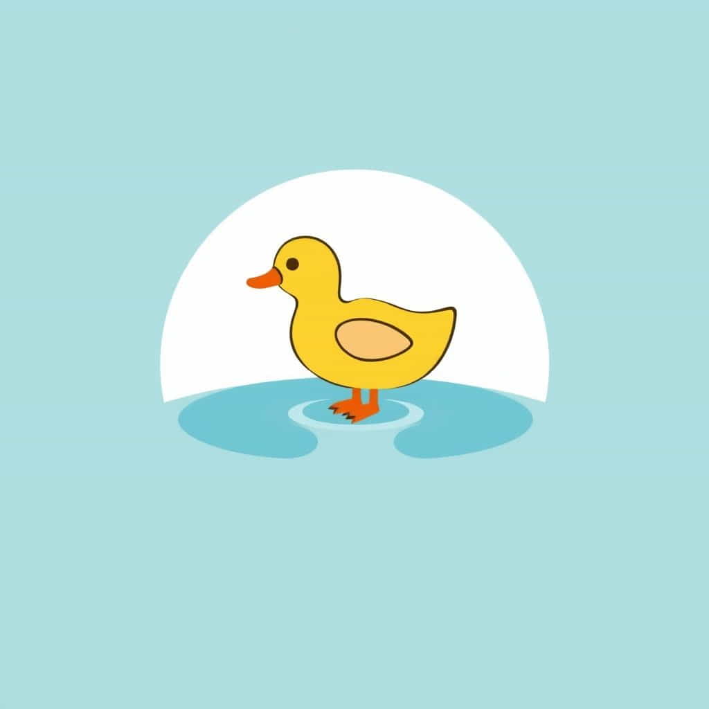 Red And Yellow Beak Waterbird