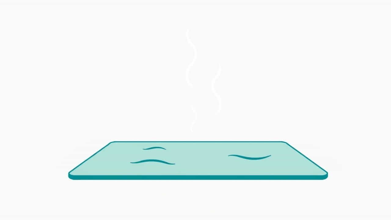 Remove Vomit Smell From Carpet