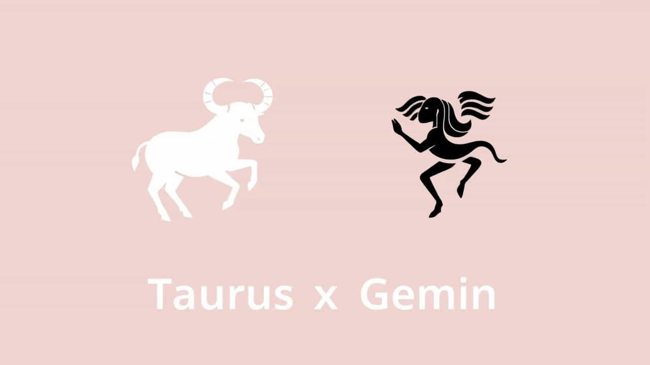 Virgo And Capricorn Compatibility Percentage