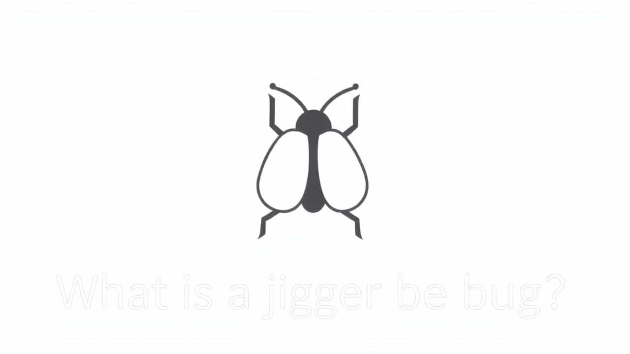 What Is A Jigger Bug