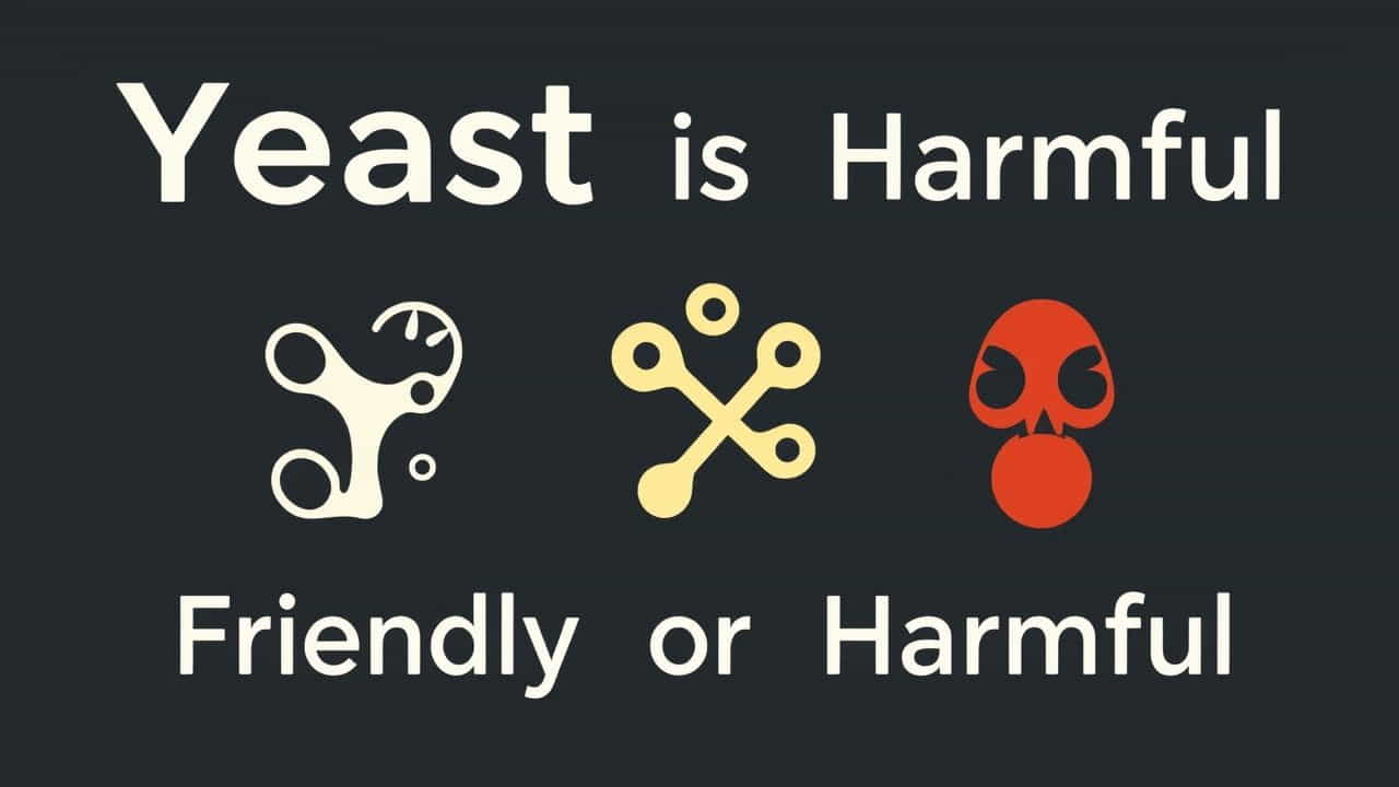Yeast Is Friendly Or Harmful