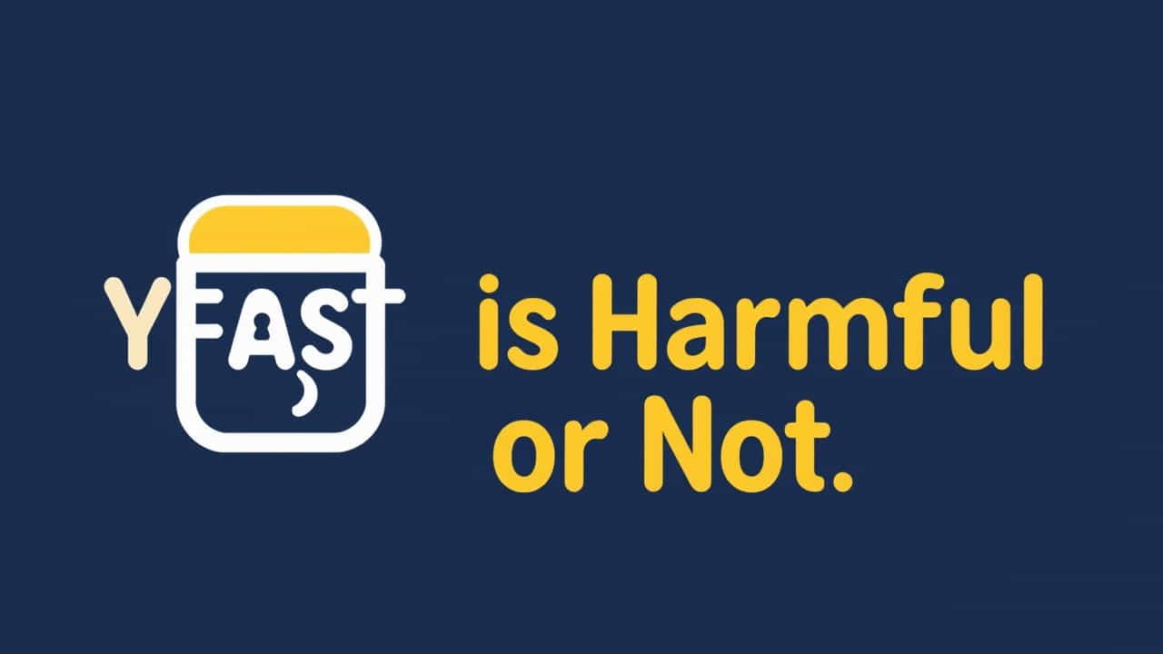 Yeast Is Harmful Or Not