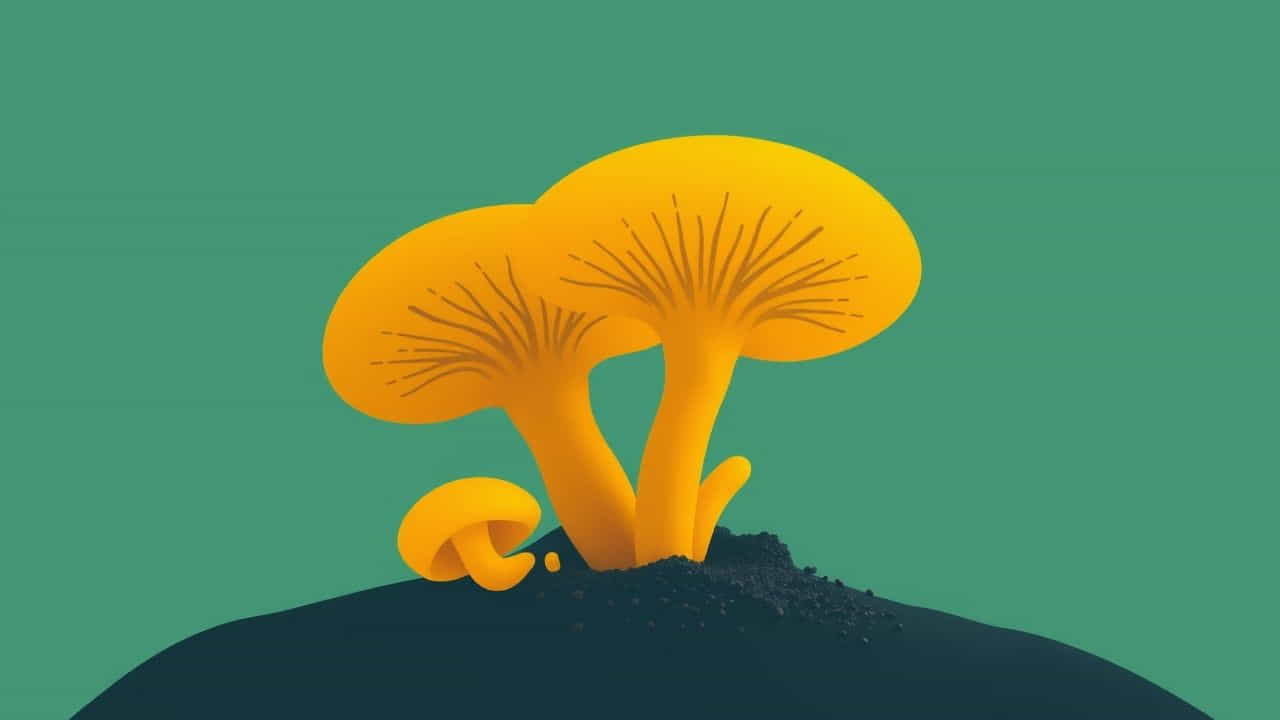 Yeast Is Saprophytic In Nature