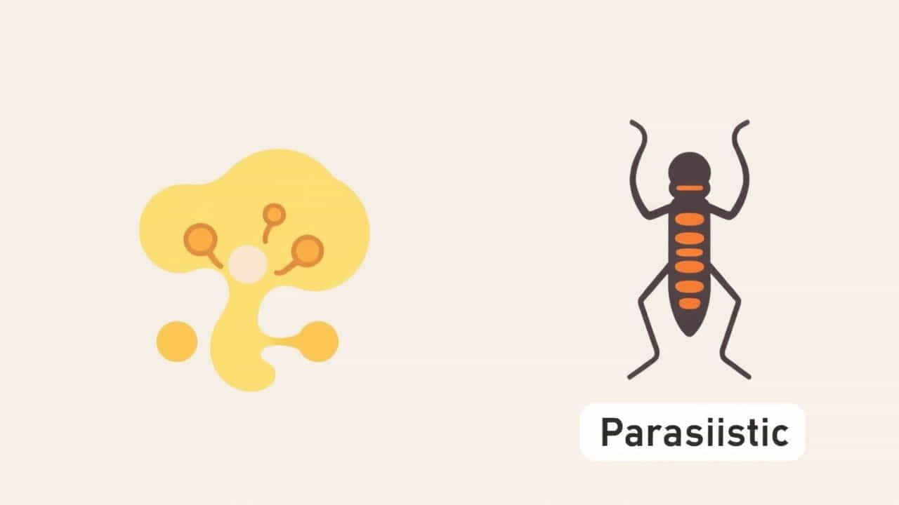 Yeast Is Saprophytic Or Parasitic