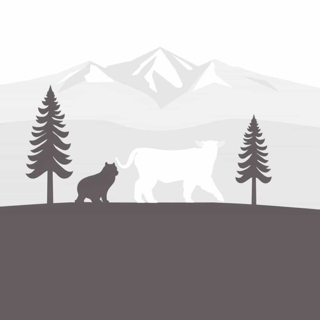 Yellowstone Animal Shelter Billings Mt