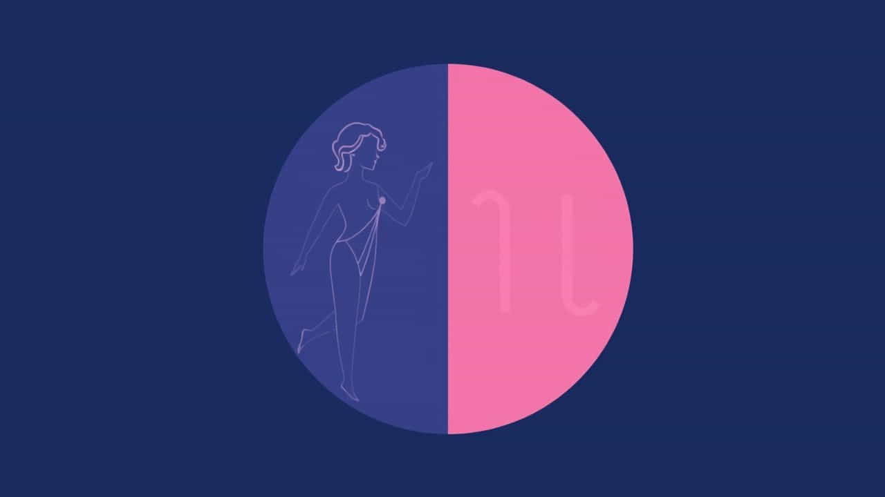 Zodiac Signs That Are Compatible