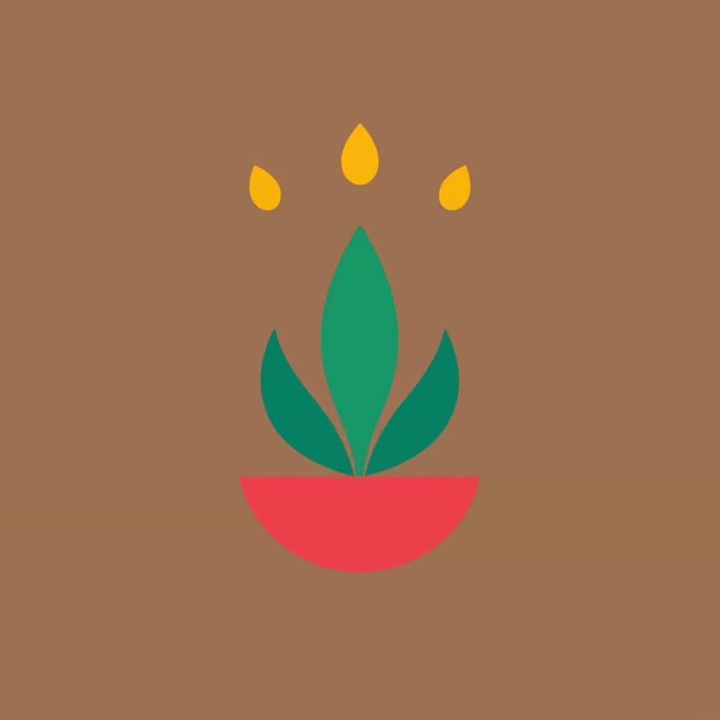 Auxin Kahan Paya Jata Hai