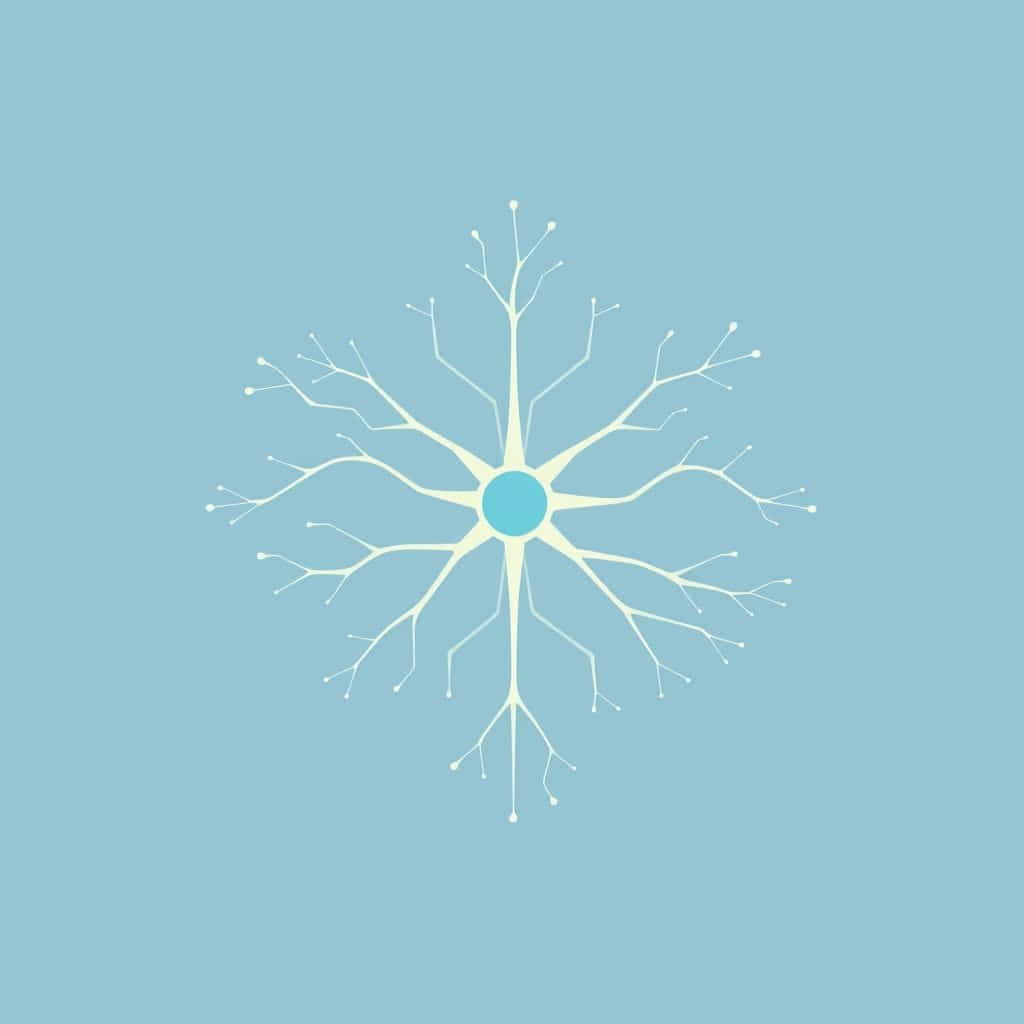 Function Of Axon And Dendrites