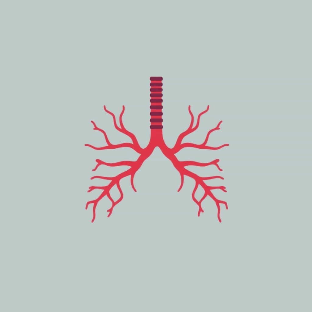 Function Of Cilia In Respiratory System