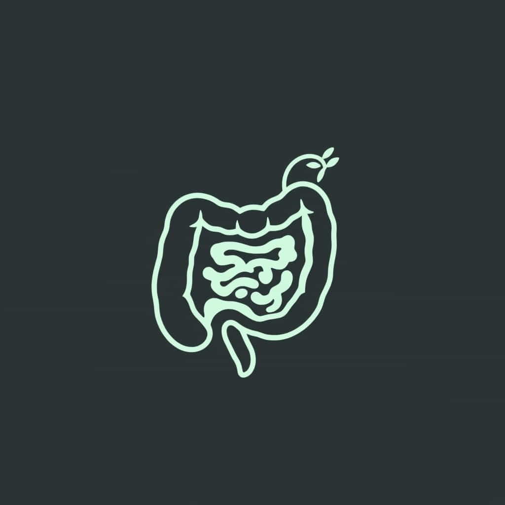 Function Of Intestine In Earthworm