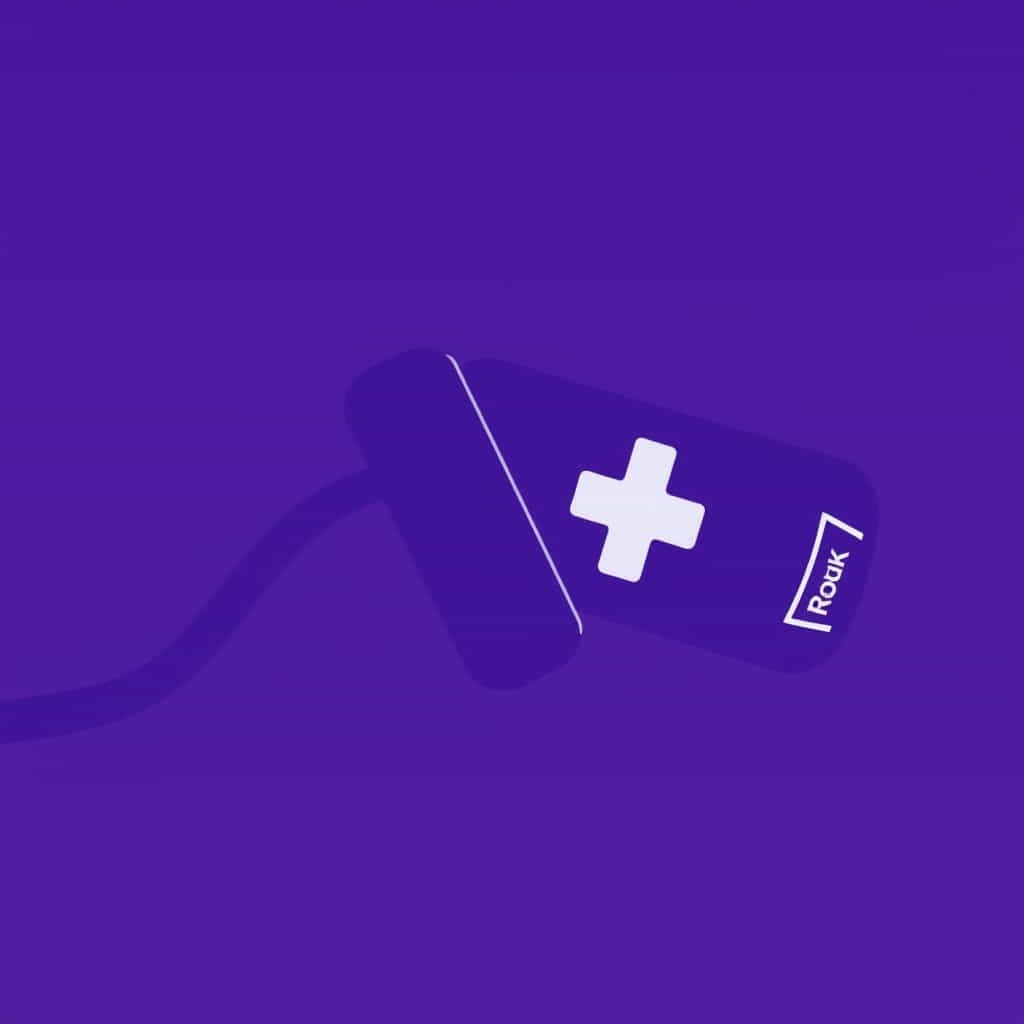 Go Roku Com Backslash Remote Pair