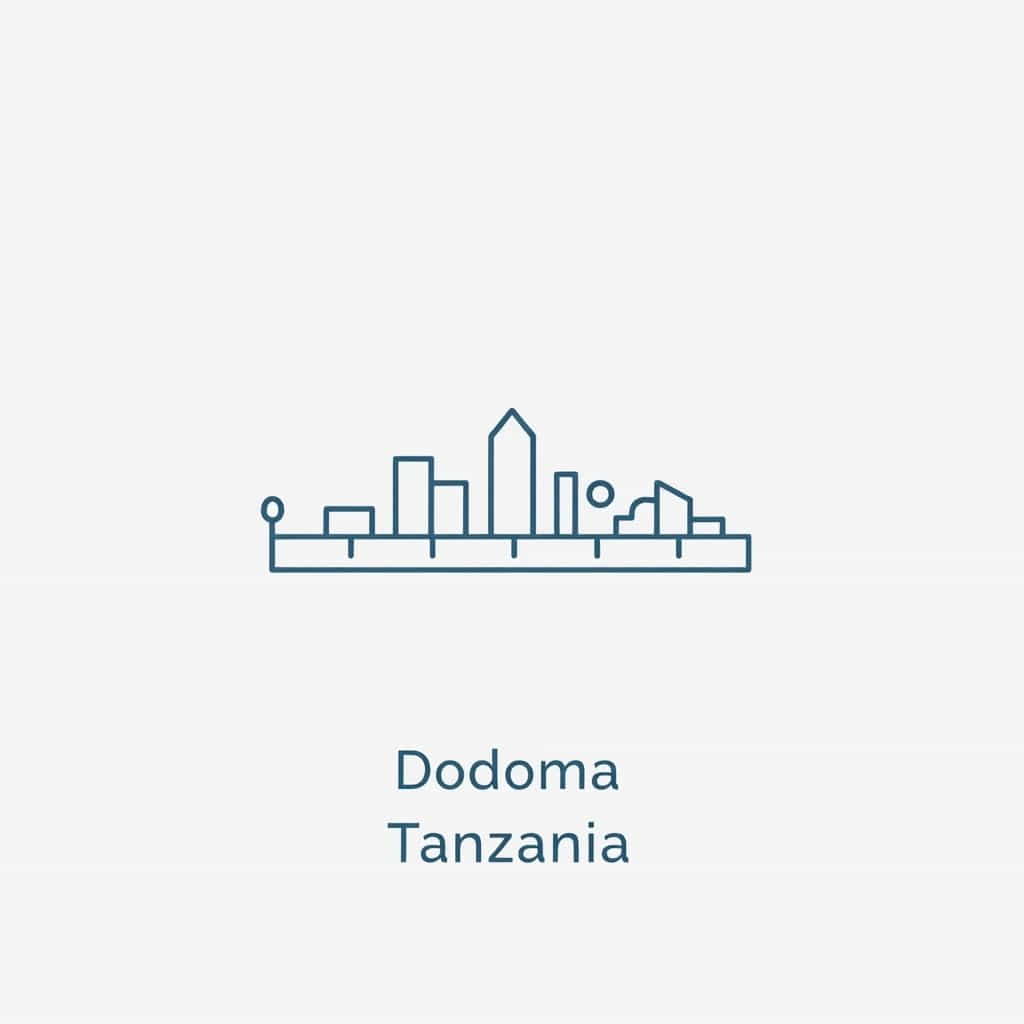 Godoro Dodoma Inch 10 Bei