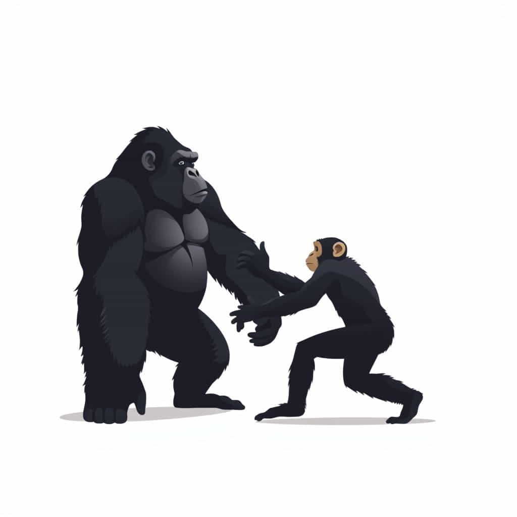 Gorilla Vs Chimpanzee Fight