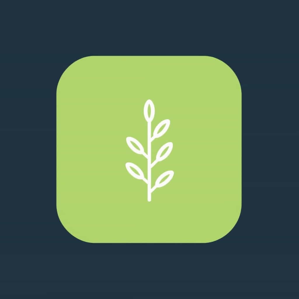 Habituated Practice Can Lead To Entrenchment