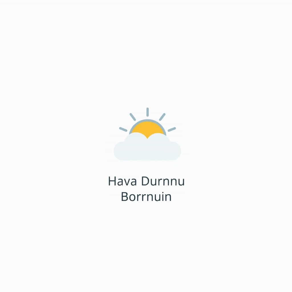 Hava Durumu Izmir Bornova
