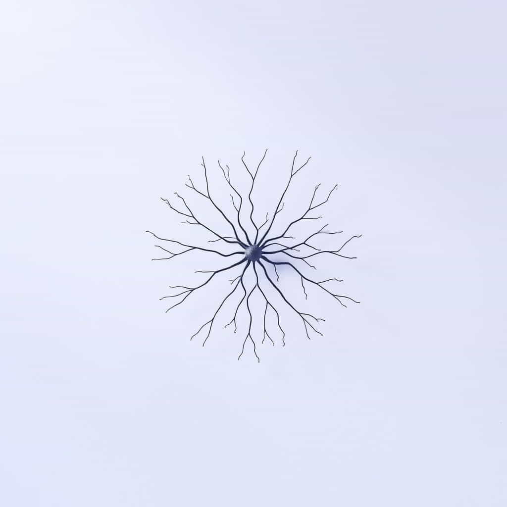 How Do Dendrites Facilitate Neuronal Communication