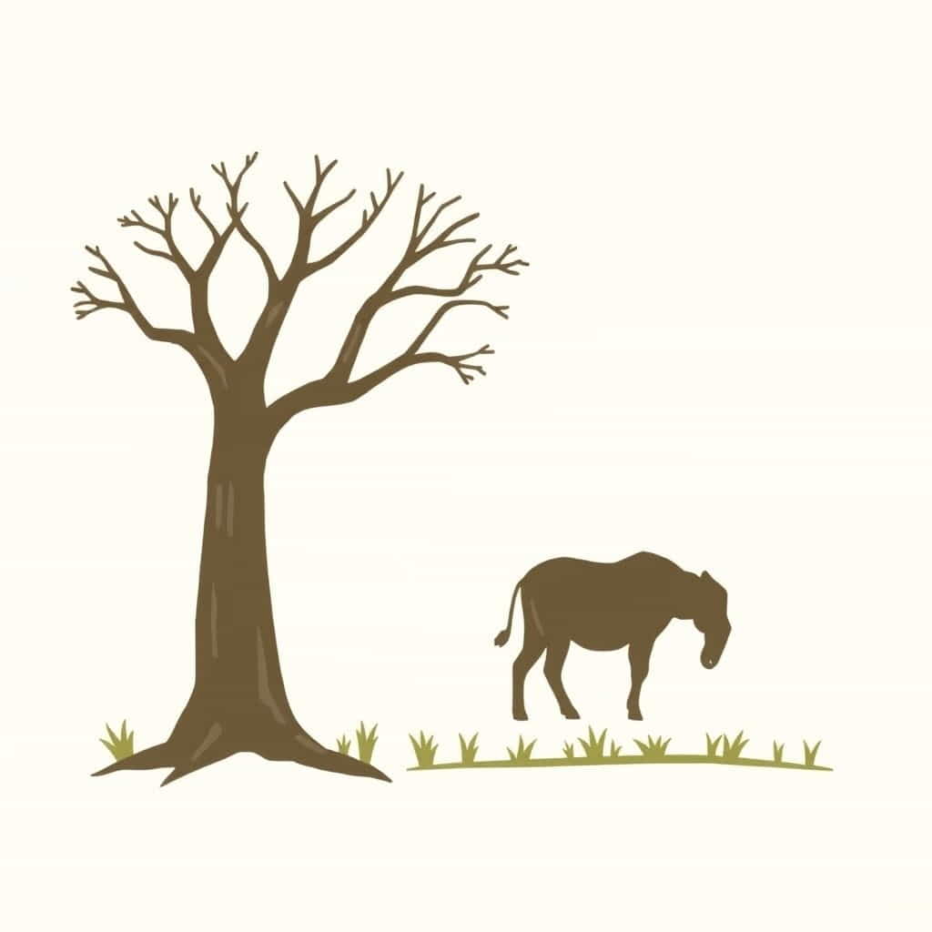 How Does Poaching Affect The Environment