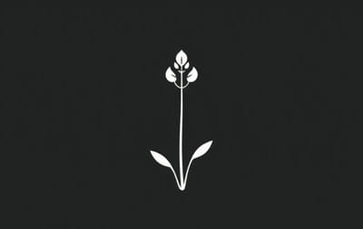 Is Bladderwort An Insectivorous Plant