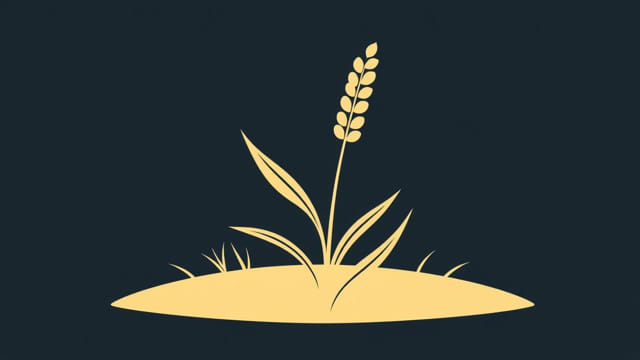 Jowar Is A Monocotyledonous Plant