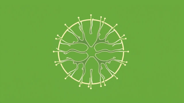 Key Feature Of Receptor Mediated Endocytosis