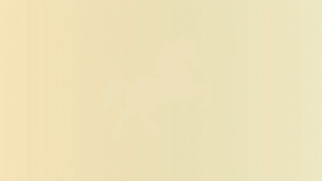 Klay Thompson Megan Thee Stallion