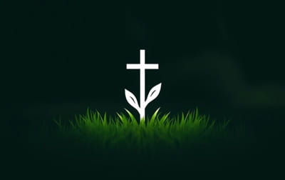 Lawn Scarification Service Near Me