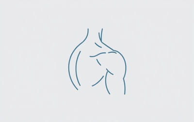 Levator Scapulae Ventralis Action