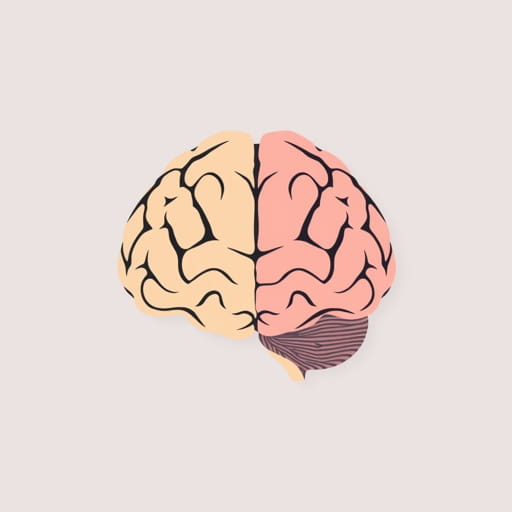 Name The Layer In Which The Ozone Layer Occurs