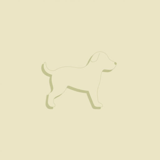 Nina Dobrev And Julianne Hough