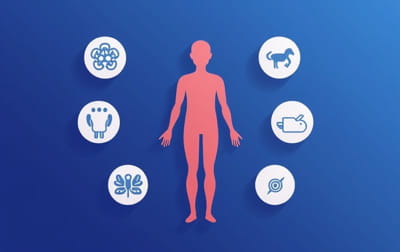 Seven Vital Body Functions Are Regulated By