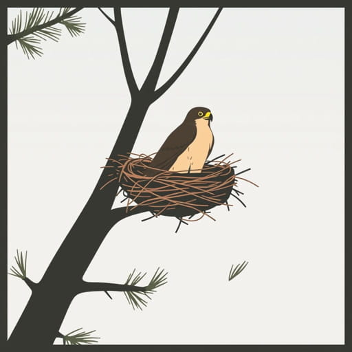 Where Do Sharp-Shinned Hawks Nest