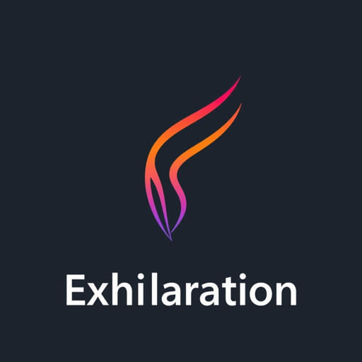 The Word Exhilaration Means