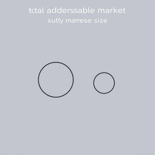 Total Addressable Market Vs Market Size