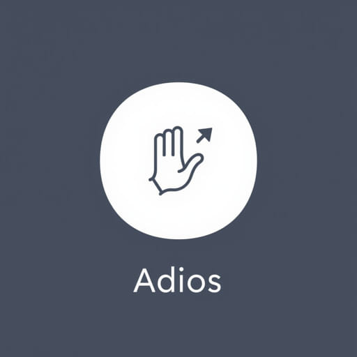 Translate Adios To English