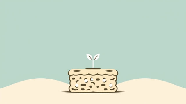 Vegan Gluten Free Flapjack Recipe