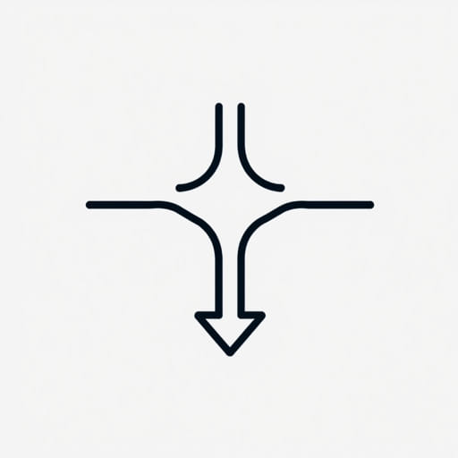 What Is Transposition In Translation