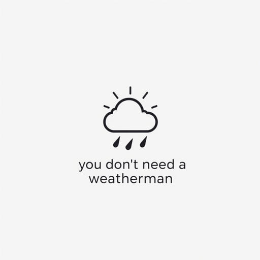 You Don'T Need A Weatherman