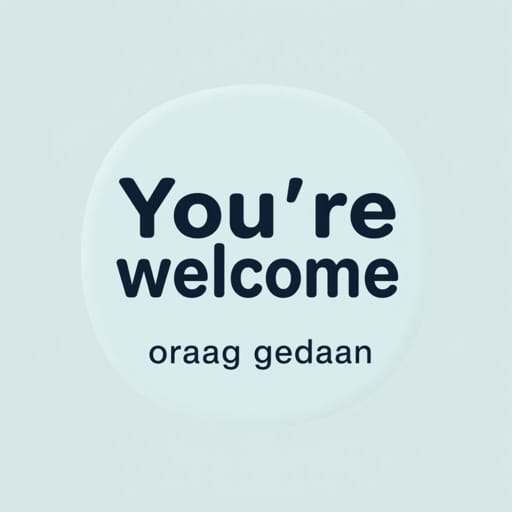You'Re Welcome In Dutch