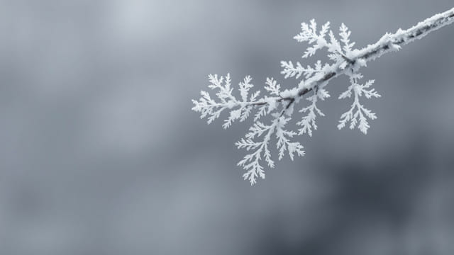 Investigate the Hoarfrost Reach
